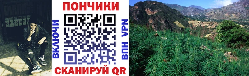 Какие есть наркотики Пошехонье Бошки Шишки  COCAIN  АМФ  Alpha-PVP  Меф мяу мяу  ГАШ 