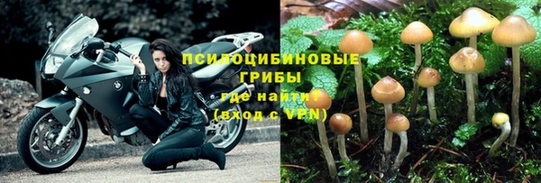 хмурый Алзамай