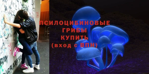 меф Алексин