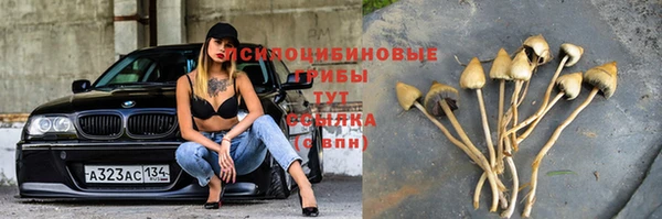 меф Алексин