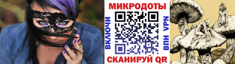 Псилоцибиновые грибы мицелий  OMG онион  Пошехонье 