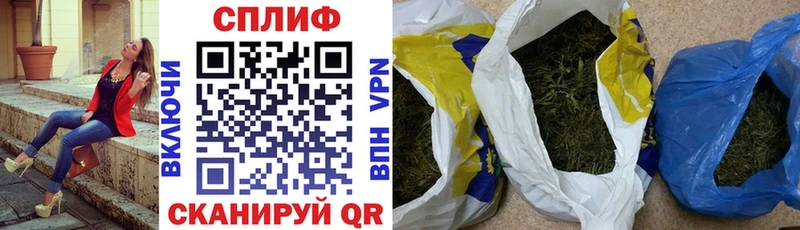 как найти наркотики  Пошехонье  Бошки Шишки гибрид 